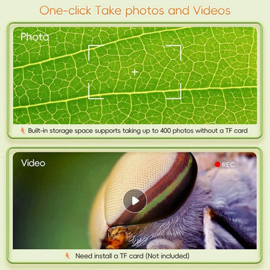 Unlock Curiosity and Ignite a Love for Learning